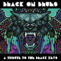 Black On Blues - A Tribute To The Black Keys / Va - Black On Blues - A Tribute To The Black Keys / Va - Vinyl Record