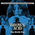 Brown Acid - The Sixth Trip / Various - Brown Acid - The Sixth Trip / Various - Music CD