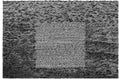 Grouper - Grid Of Points - Vinyl Record