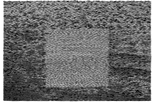 Grouper - Grid Of Points - Vinyl Record