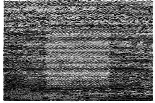 Grouper - Grid Of Points - Music CD