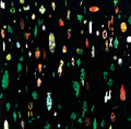 Sugai Ken - On The Quakefish - Vinyl Record