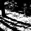 Van Oers,reggy - Transcranial - Vinyl Record