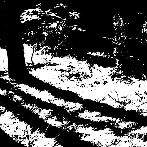 Van Oers,reggy - Transcranial - Vinyl Record