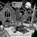 Stench Of Decay - Where Death & Decay Reign - Vinyl Record
