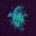 Fakear - All Glows - Music CD