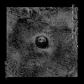 Bostro Pesopeo - Meti - Vinyl Record