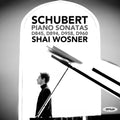 Wosner,shai - Schubert: Piano Sonatas D845 D894 D958 & D960 - Music CD