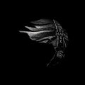 Boyd,moses - Dark Matter - Music CD