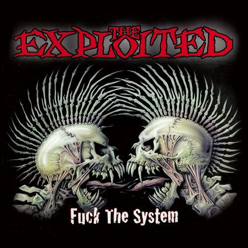 Fuck the System Music CD