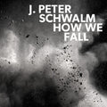 Schwalm,jan-peter - How We Fall - Vinyl Record