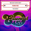 Funka Fize - Because You're Funky / No Words (digital 45) - Music CD