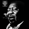 Waters,muddy - Muddy Mississippi Waters - Music CD