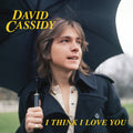 Cassidy,david - I Think I Love You - Vinyl Record