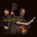 Ben-hur,roni & Harvie S - Introspection - Music CD