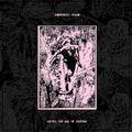 Raspberry Bulbs - Before The Age Of Mirrors - Vinyl Record