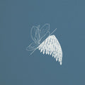 Linghaus,tim - Memory Sketches - Music CD