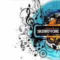 Skerryvore - Chasing The Sun - Music CD