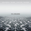 Redman,joshua - Still Dreaming - Music CD