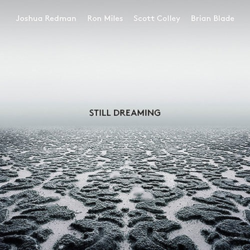 Still Dreaming [LP] Vinyl Record