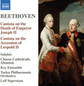 Beethoven / Segerstam / Lehesvuori - Cantata On The Death - Music CD