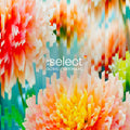 Global Underground: Select 5 / Various - Global Underground: Select 5 / Various - Music CD