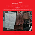 Boli Group - N.p.d.s. - Vinyl Record