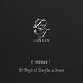 Dustin - Burn - Music CD