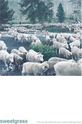 Sweetgrass - Sweetgrass - DVD