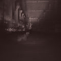 Dub Taylor - Caves & Cages - Vinyl Record