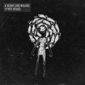 Scent Like Wolves - Spirit Vessel - Music CD