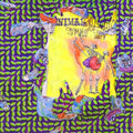 Animal Collective - Ballet Slippers - Vinyl Record