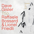 Gisler,dave - Rabbits On The Run - Music CD