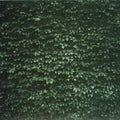 Tarentel - Order Of Things - Music CD