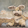 Peter & The Test Tube Babies - Fuctifano - Music CD