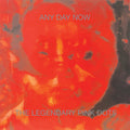 Legendary Pink Dots - Any Day Now - Music CD