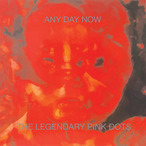 Legendary Pink Dots - Any Day Now - Music CD