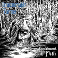 Innumerable Forms - Punishment In Flesh - Music CD