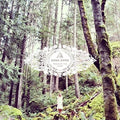 Sipos,dana - Trick Of The Light - Music CD