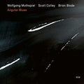 Muthspiel,wolfgang / Colley,scott / Blade,brian - Angular Blues - Music CD
