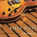 Vibes Alive - Vibrasonic - Music CD