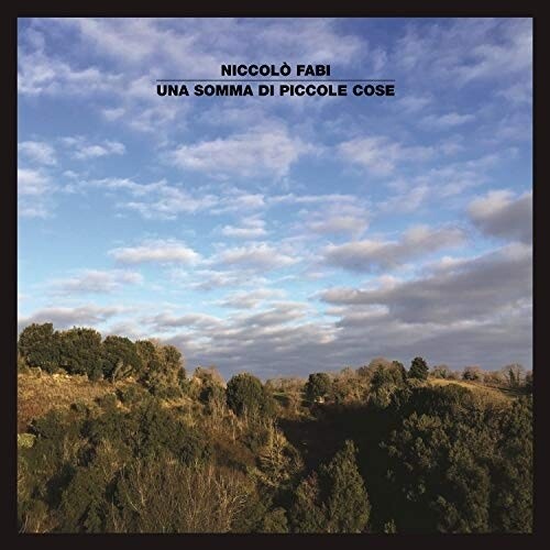 Fabi,niccolo - Una Somma Di Piccole Cose - Music CD