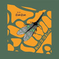 Huan Huan - One Big Bug - Vinyl Record