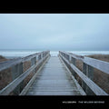 Hillsburn - Wilder Beyond - Music CD