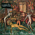 Love/hate - Wasted In America - Music CD