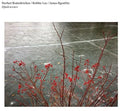 Rodenkirchen,norbert / Lee,robbie - Opalescence - Vinyl Record