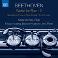 Beethoven / Seo / Kodama - Works For Flute 2 - Music CD