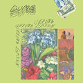 Dumb - Seeing Green - Music CD