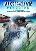 Australian Penguins - Australian Penguins - DVD