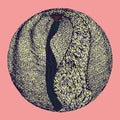 Fleur - Outbreaker - Vinyl Record